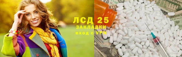 прущие грибы Волоколамск