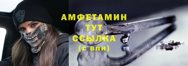 прущие грибы Волоколамск