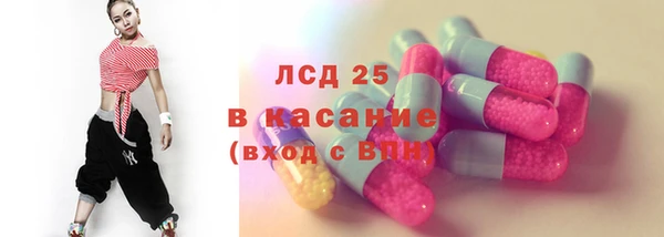 прущие грибы Волоколамск