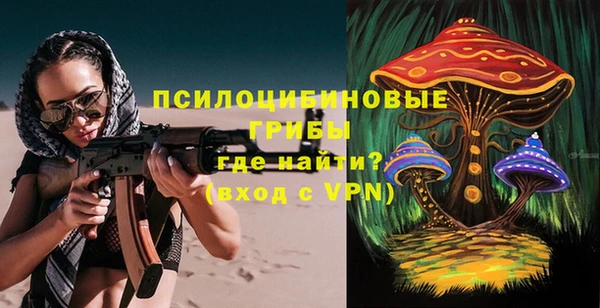 прущие грибы Волоколамск