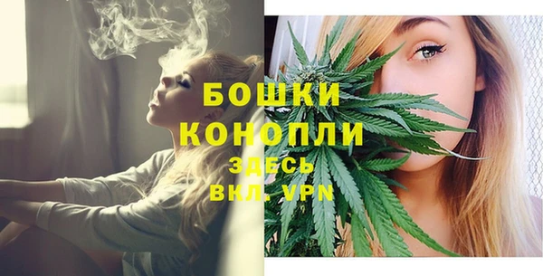 гашик Володарск