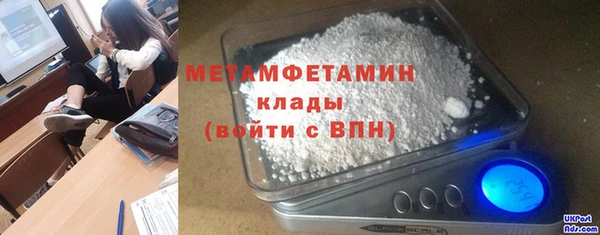 прущие грибы Волоколамск